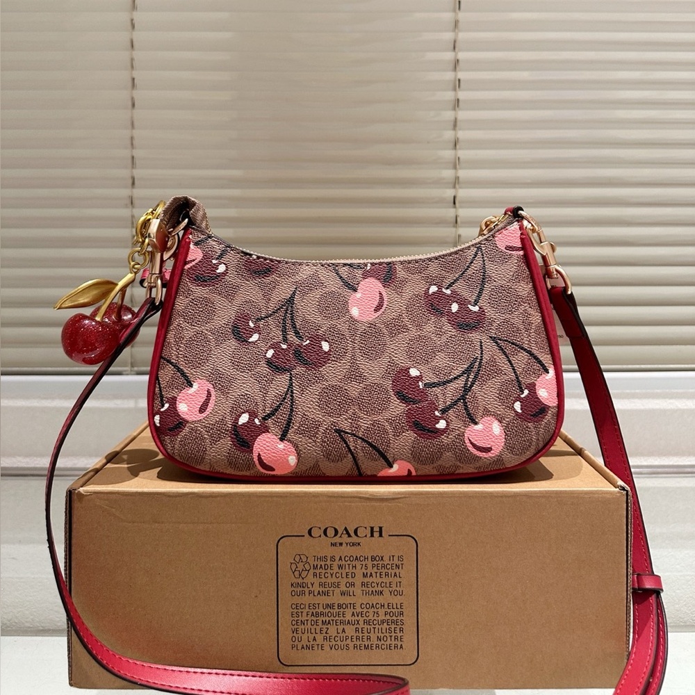 Coach handbag, 24x15cm